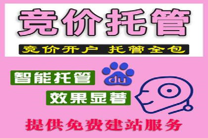 体育赛事宣传中的SEM托管服务：从策划到执行